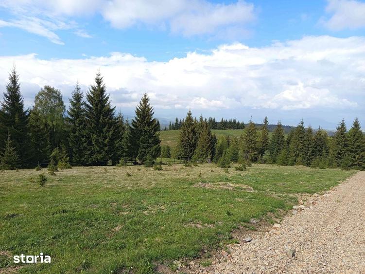 Teren de 700 mp, în Tiha Bârgăului