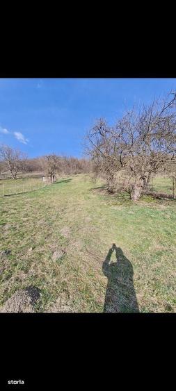 Teren de 1700 mp, în Corunca