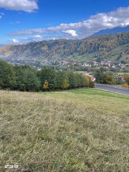 Teren extravilan cu priveliste catre Bucegi Moieciu de Jos 4.700 mp - 7