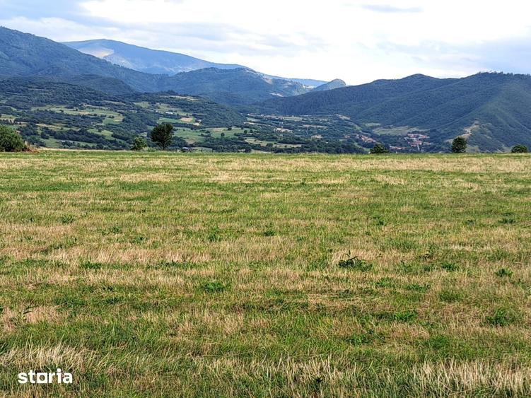 Oportunitate-Teren Extravilan 6200 mp cu vedere Panoramica-Tropinii No - 5