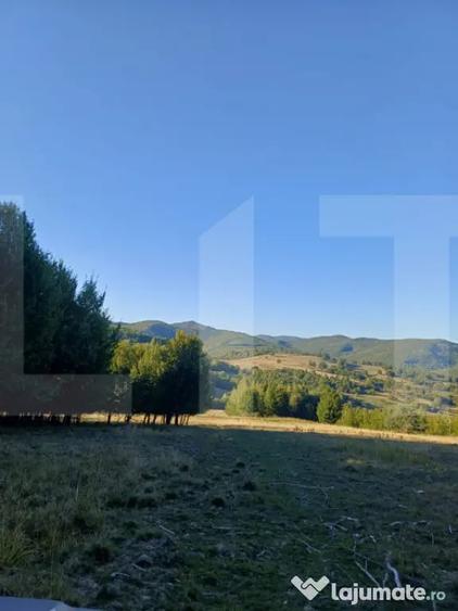 Teren de 11600 mp, în Central