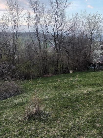 Teren de 2600 mp, în Izvoarele