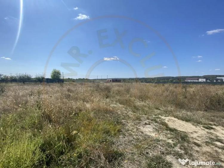 Teren zona Magic Trivale intravilan 1040 mp - 5