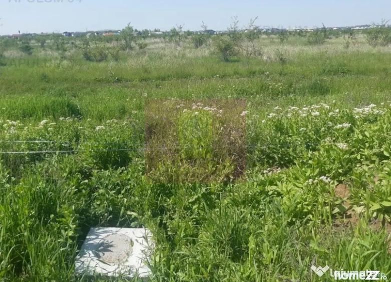 Teren de 29000 mp, în Pantelimon