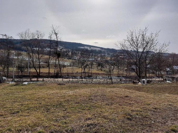 Teren de 1305 mp, în Valea Crișului