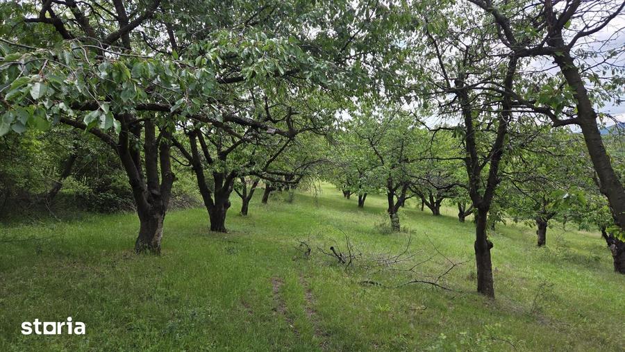 Teren de 7200 mp, în Central
