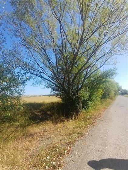 Teren agricol intravilan de 600 mp, în Periferie