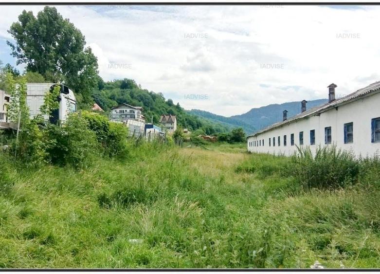 Teren agricol intravilan de 59303 mp, în Cheile Râșnoavei
