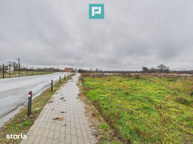 Teren de 4131 mp, în Pleșcuța