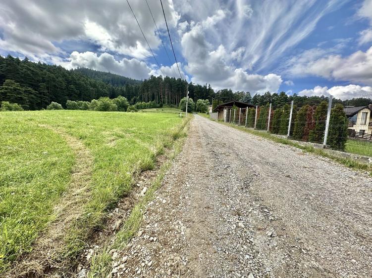 Teren Construcții intravilan de 3600 mp, în Poiana Angelescu