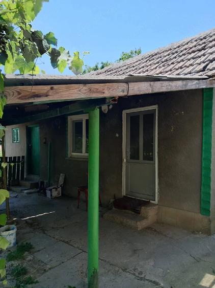 Casă cu Teren 4800 Mp în Central