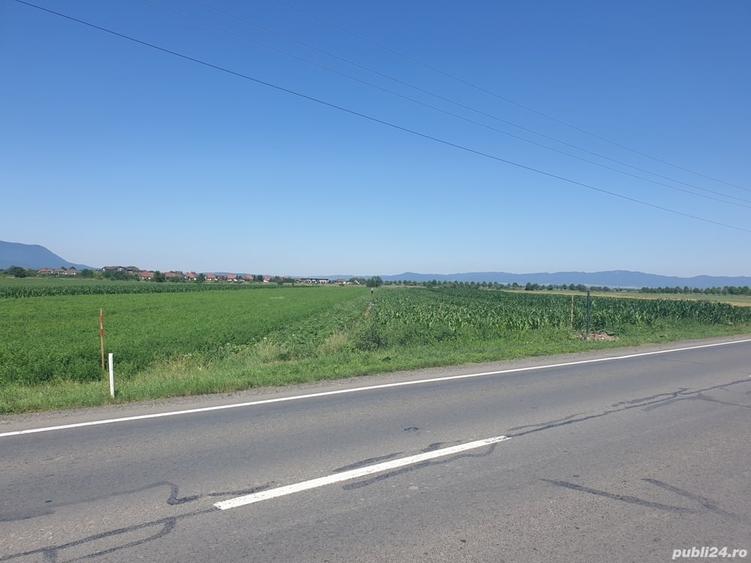 Teren de 5000 mp, în Stupini