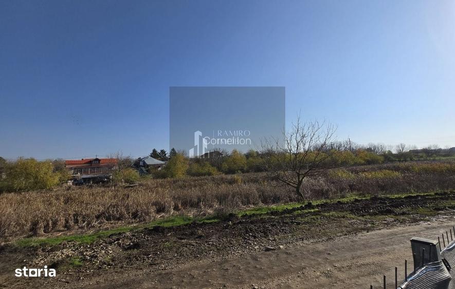 teren intravilan casa 500mp -curent si gaze trase - Frumusani /Pasarea