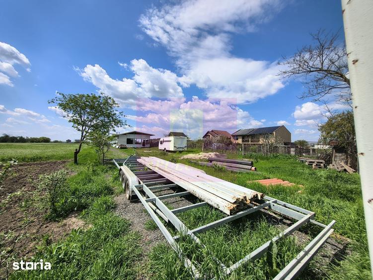 Teren de 1700 mp, în Cernica