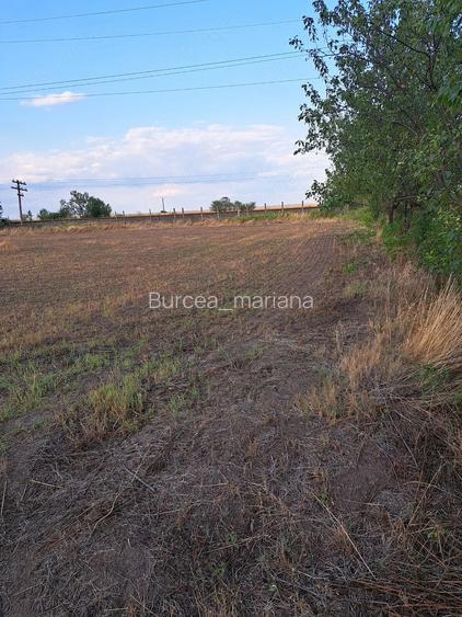 Teren intravilan de vanzare situat in sat Studini?a, comuna Studina, jude?ul Olt