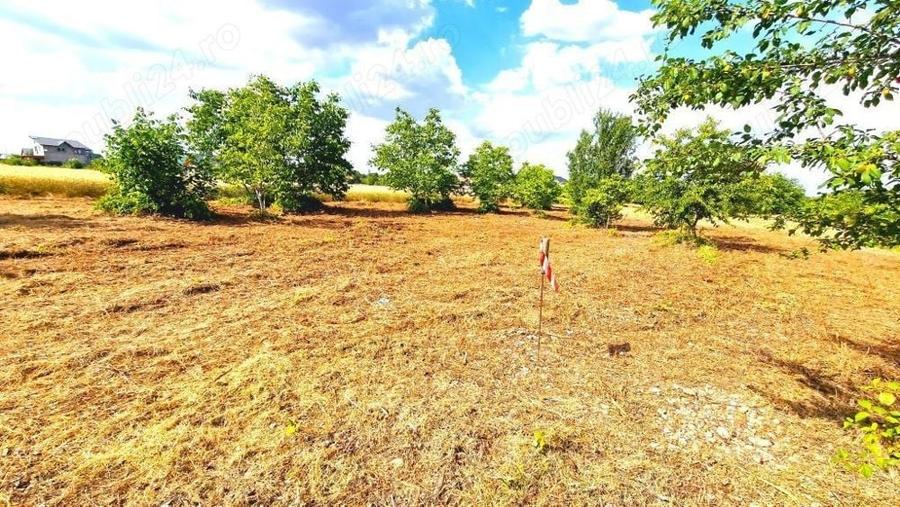 Teren de 500 mp, în Mânăstirea