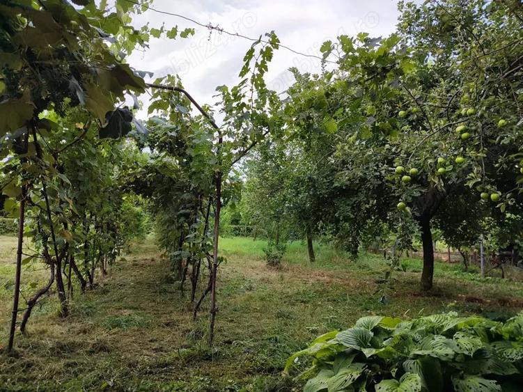 Casă cu 5 camere în Ineu
