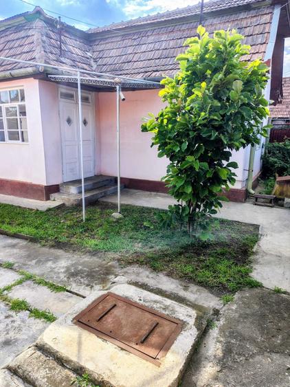 Casă cu 2 camere în Central