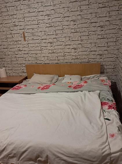 Garsonieră decomandată în Podgoria