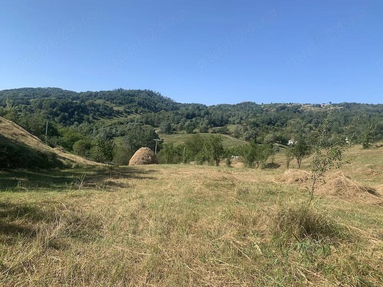 Teren de 12000 mp, în Chiojdeni