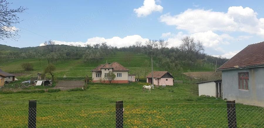Casă cu 2 camere cu Teren 3343 Mp în Silivaș