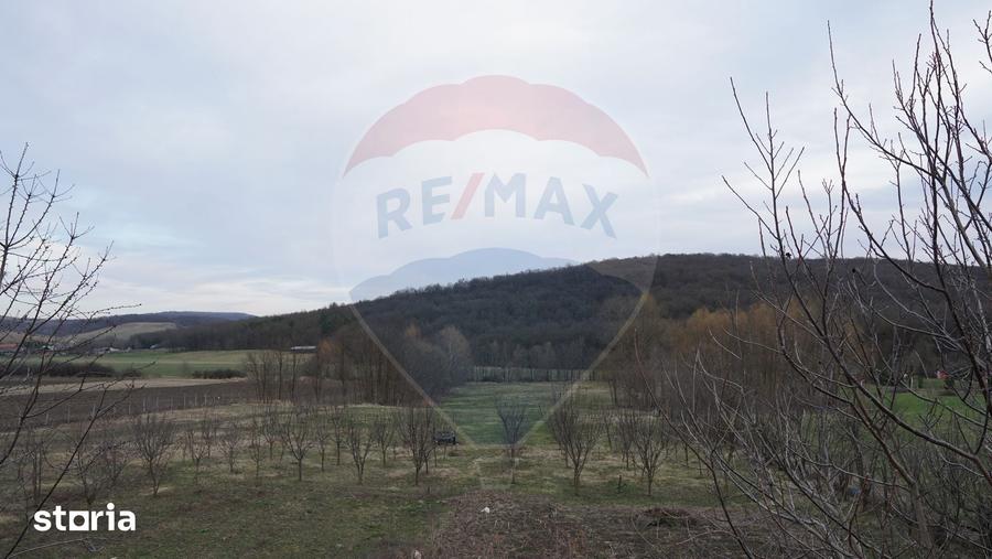 Teren de 517 mp, în Mărgineni