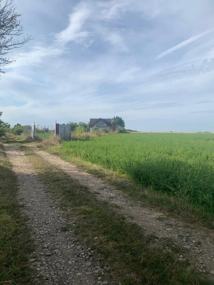 Teren Construcții intravilan de 7600 mp, în Dascălu