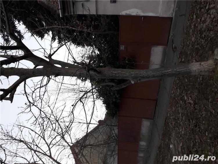 Teren de 2200 mp, în Fratelia