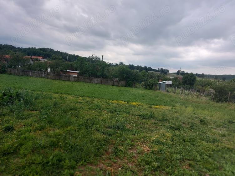 Teren de 1530 mp, în Erghevița