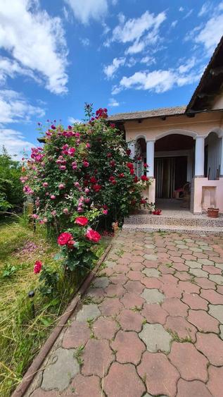 Casă cu 5 camere cu Teren 2800 Mp în Exterior Vest