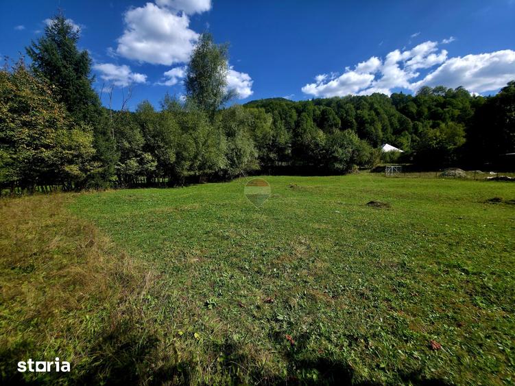 Teren de 1113 mp, în Tarcău