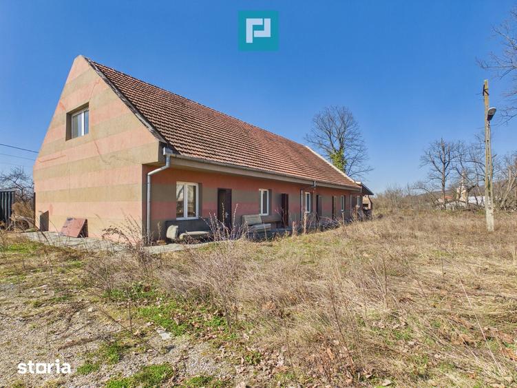 Casă cu 8 camere cu Teren 22919 Mp în Constantin Daicoviciu