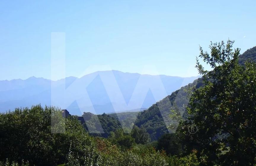 Teren Construcții intravilan de 1409 mp, în Cisnădioara