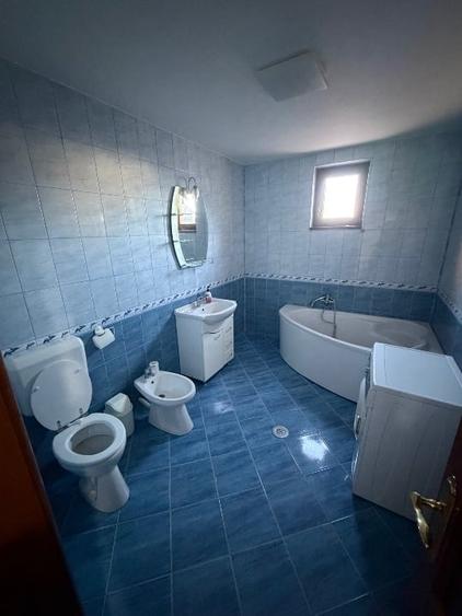 Spațiu comercial, de 1 mp, în Golești