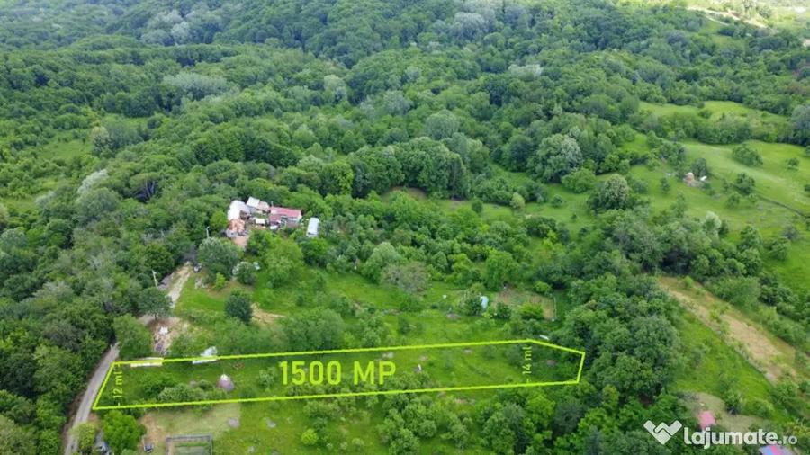 DEALUL MALULUI TEREN 1500 MP INCONJURAT DE PADURE - Ramnicu Valcea (Valcea) - 3