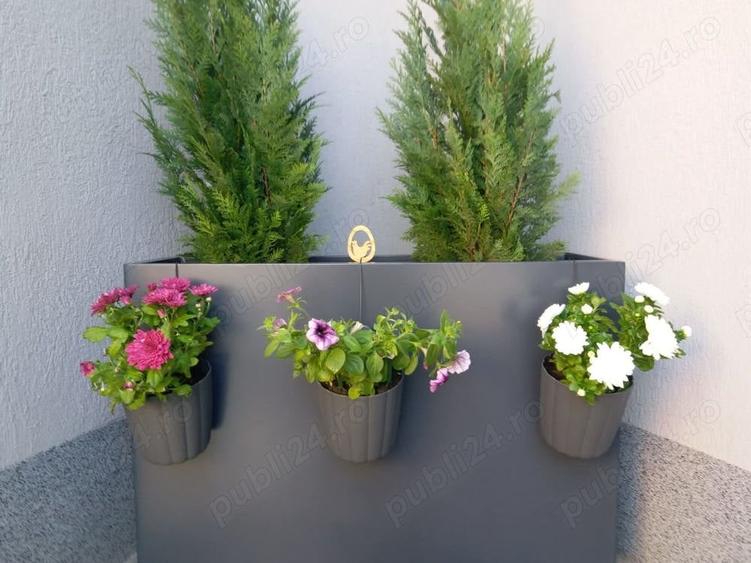 Casă cu 2 camere cu Teren 40 Mp în Pantelimon