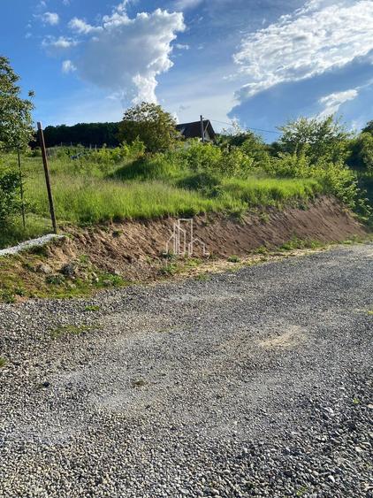 Teren agricol intravilan de 500 mp, în Bărdești