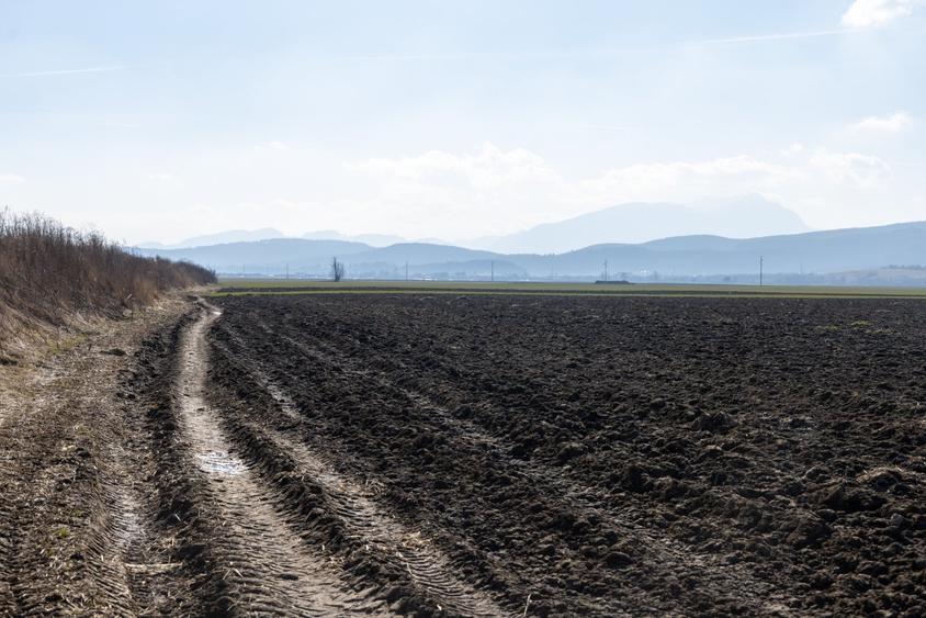 Teren agricol extravilan de 19239 mp, în Vulcan