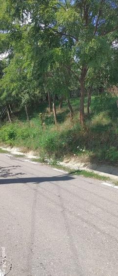 Teren de 2030 mp, în Rădăcinești