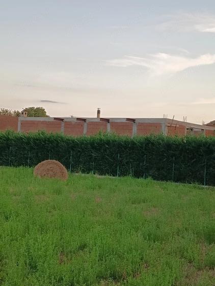 Casă cu Teren 3800 Mp în Soca
