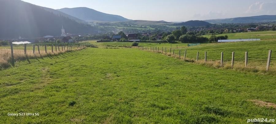 Teren de 5000 mp, în Gura Râului