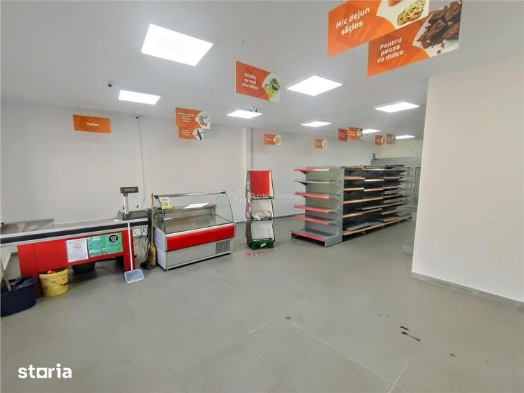 Casă cu 4 camere decomandat cu Teren 719 Mp în Ciclova Română
