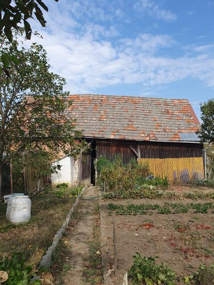 Casă individuală cu 3 camere cu Teren 3000 Mp în Cornățel