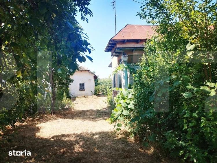 Casă cu Teren 5038 Mp în Pleșoiu