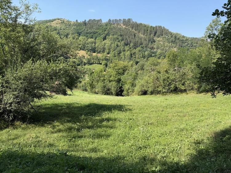 Teren intravilan 4.128 mp Ocolis Alba priveliste superba curent la proprietate - 2