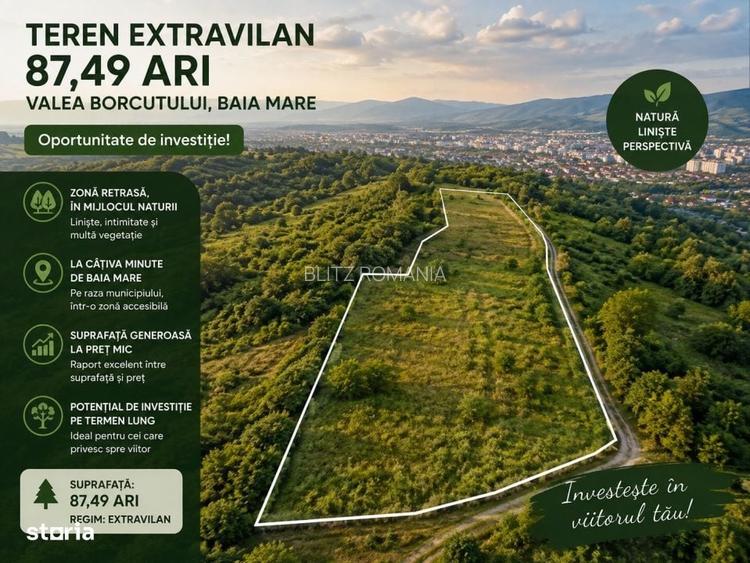 Teren de vanzare, 87.49 ari, zona Valea Borcutului