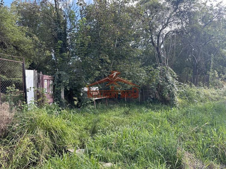 Teren Construcții intravilan de 4600 mp, în Porumbacu de Sus