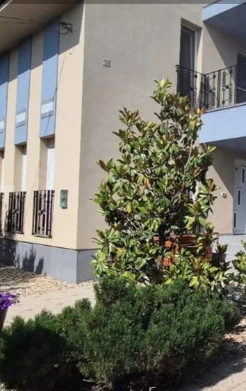 Casă cu 2 camere cu Teren 595 Mp în Săcălaz
