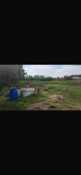 Casă individuală cu 5 camere cu Teren 4000 Mp în Blândești