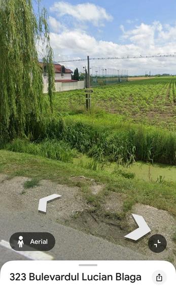 Spațiu comercial, în Lucian Blaga